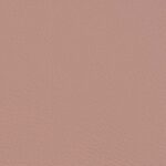 Valencia C5 Rose