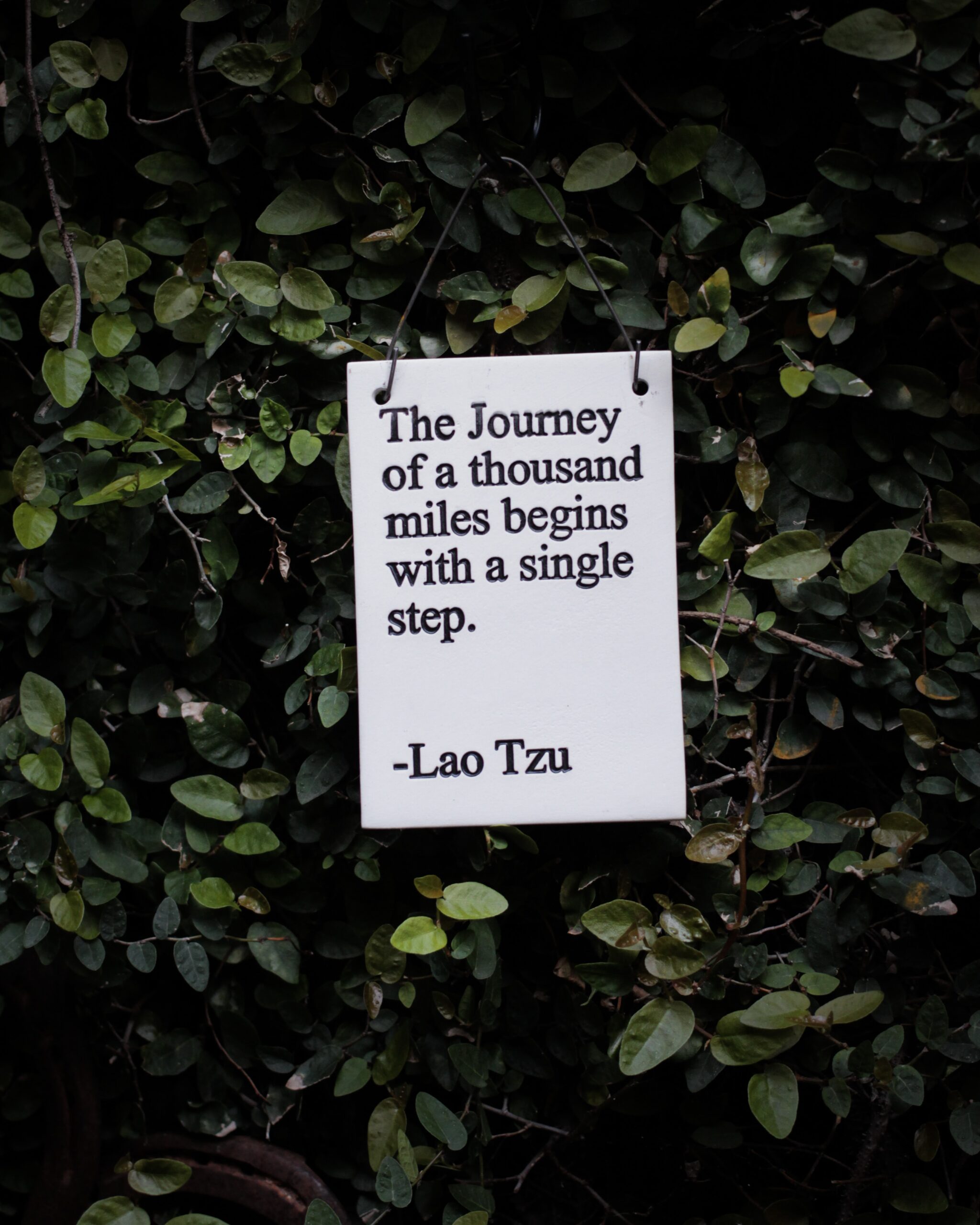 Quote saying The Journey of a thousand miles begins with a single step. Lou Tau