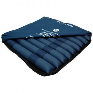 Harvest Blenheim Active Seat Cushion