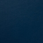 Shelly Majolica Blue